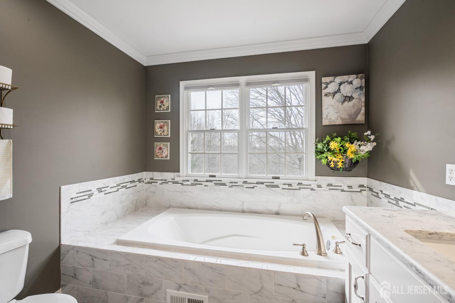3 Milburne Lane Robbinsville, NJ 08691 - Photo 44 of 50 a bathroom with a granite countertop sink a bathtub and toilet