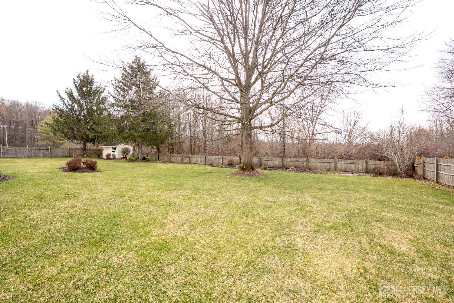3 Milburne Lane Robbinsville, NJ 08691 - Photo 5 of 50 a view of a yard with a house