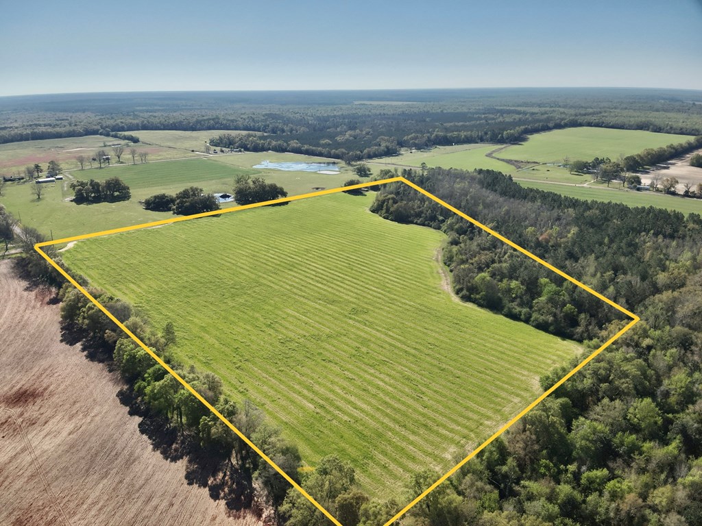 31.5-acres Ramer Loop Cottonwood, AL 36320 - Photo 3 of 13