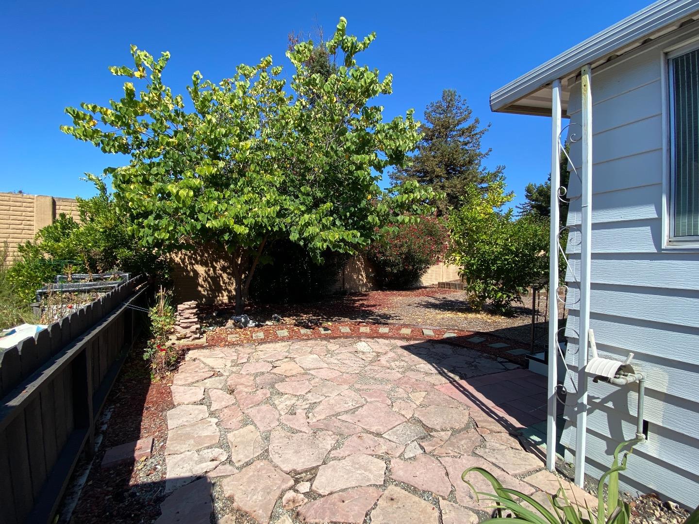1220 Tasman Drive, Unit 159 Sunnyvale, CA 94089 - Photo 23 of 46 a view of a backyard of the house
