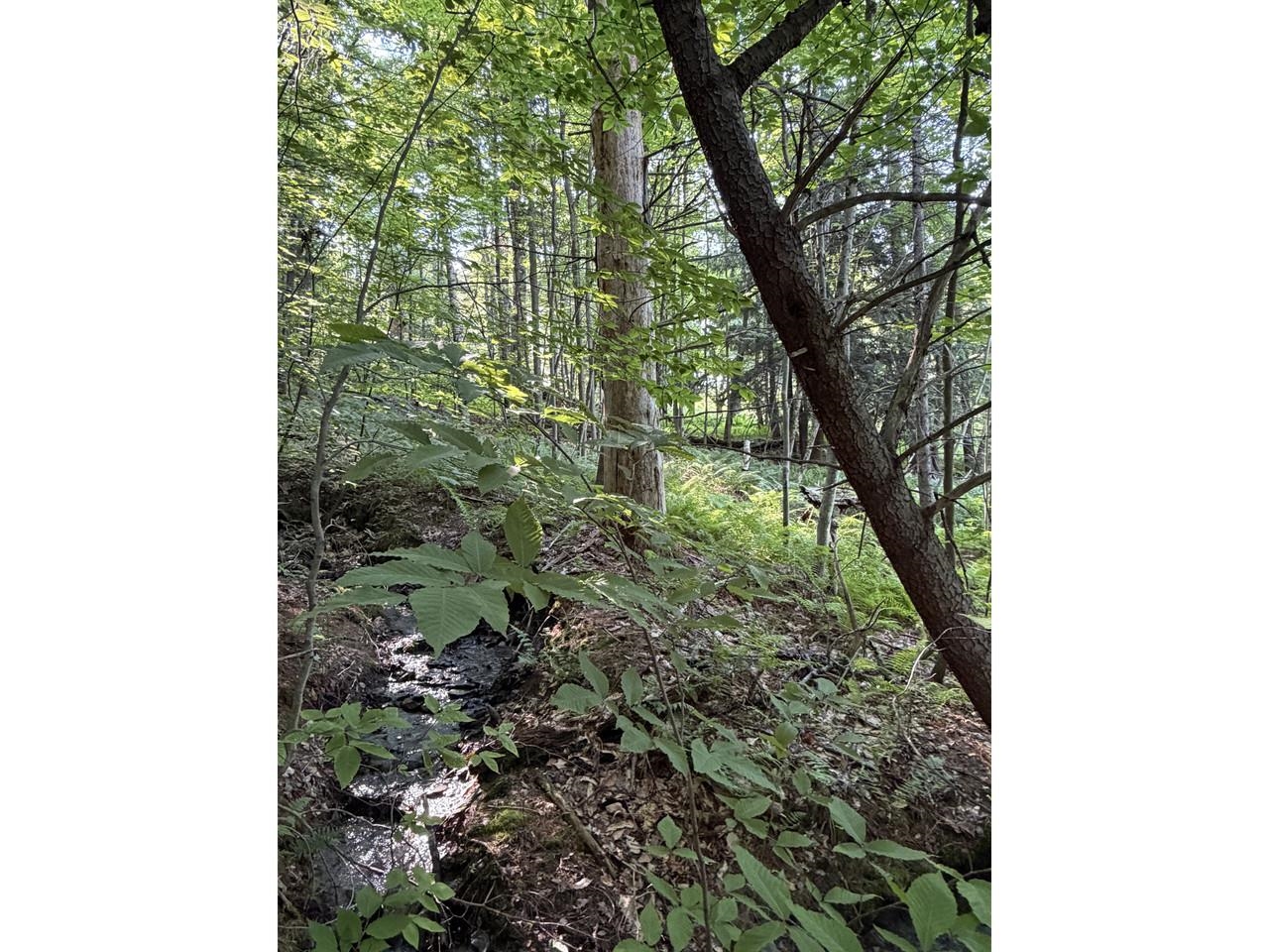 0 Old Carriage Road Waitsfield, VT 05673 - Photo 16 of 24