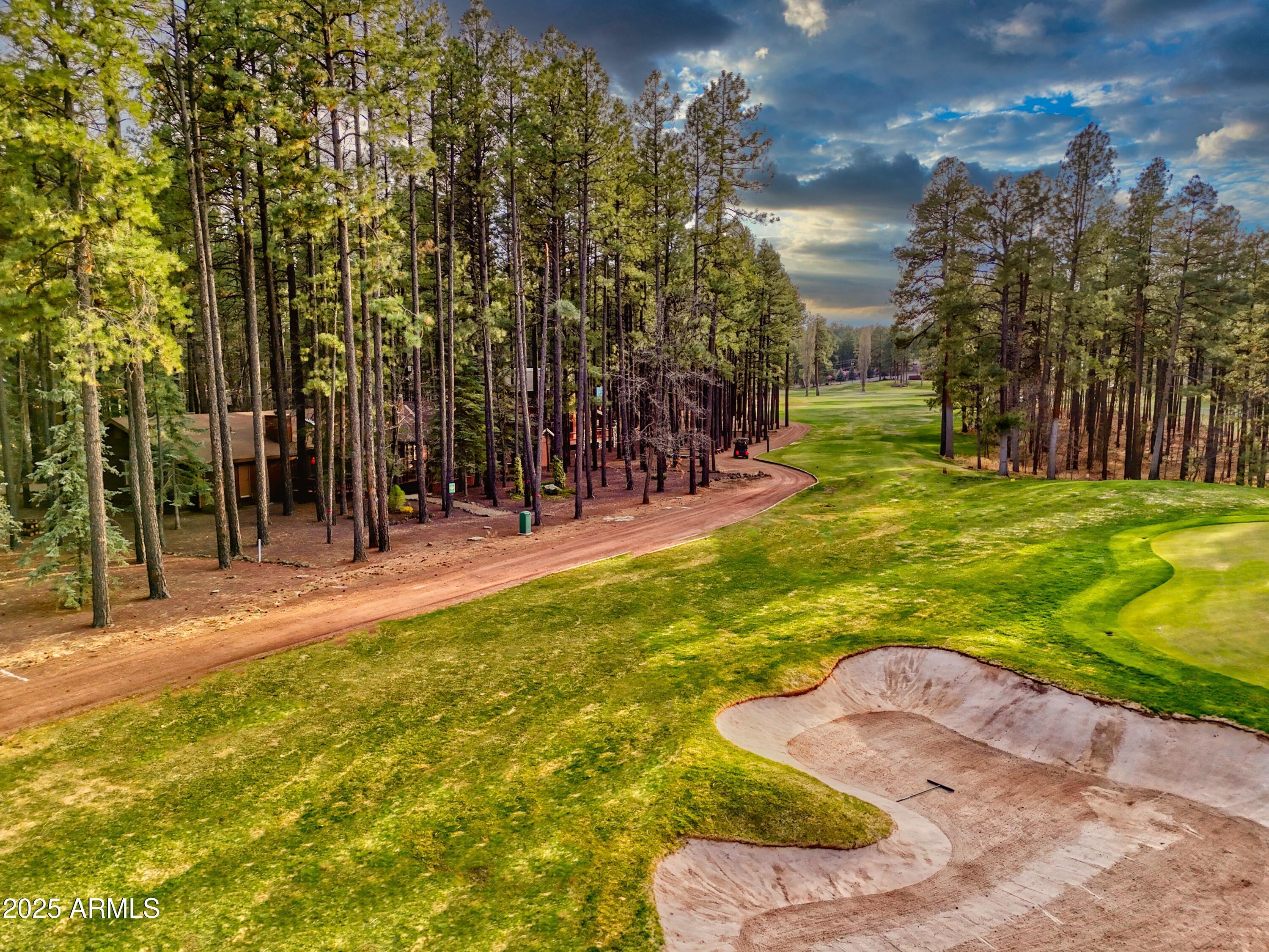 7194 Indian Bend Road Pinetop, AZ 85935 - Photo 12 of 46 12