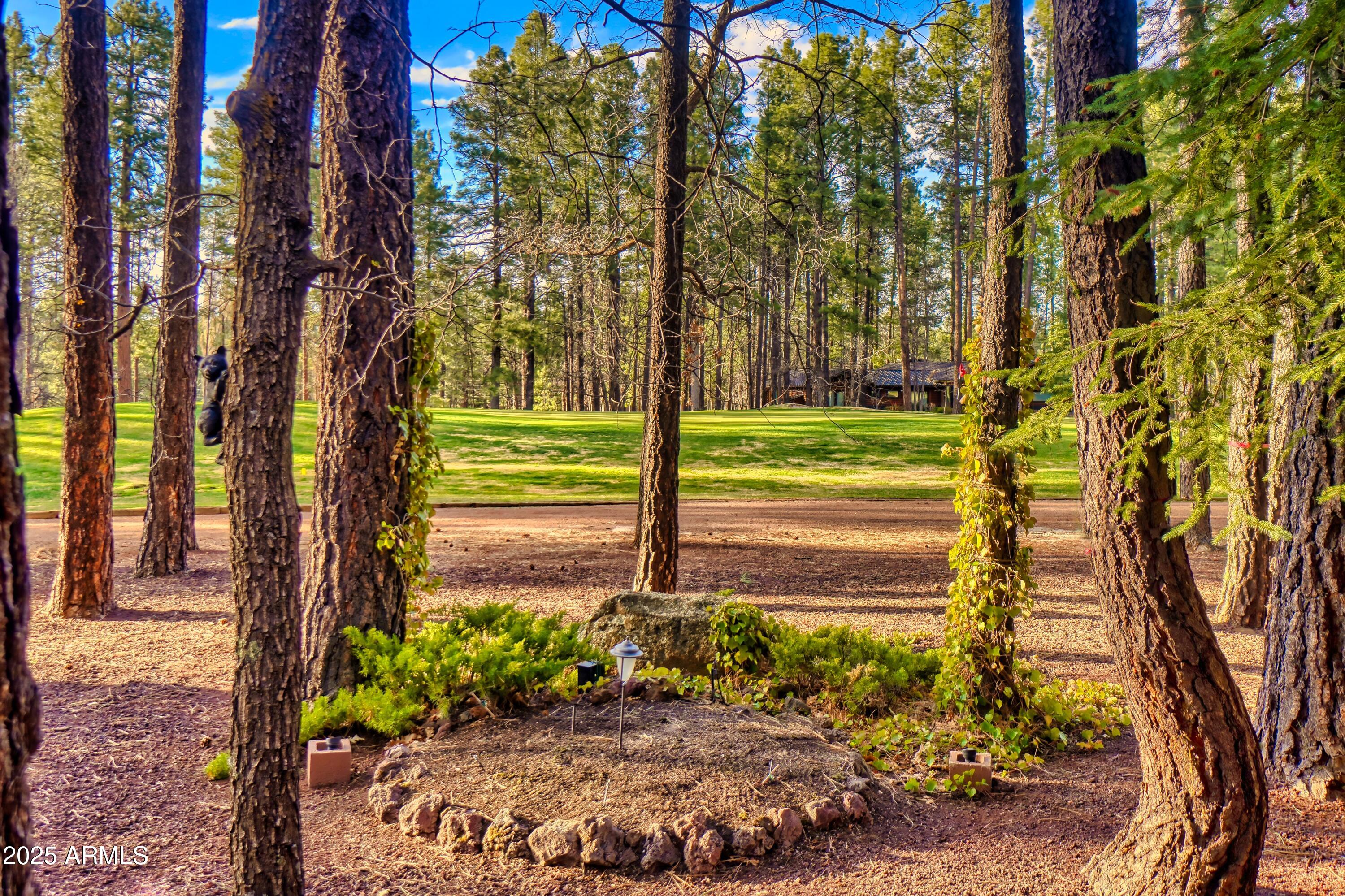 7194 Indian Bend Road Pinetop, AZ 85935 - Photo 16 of 46 16