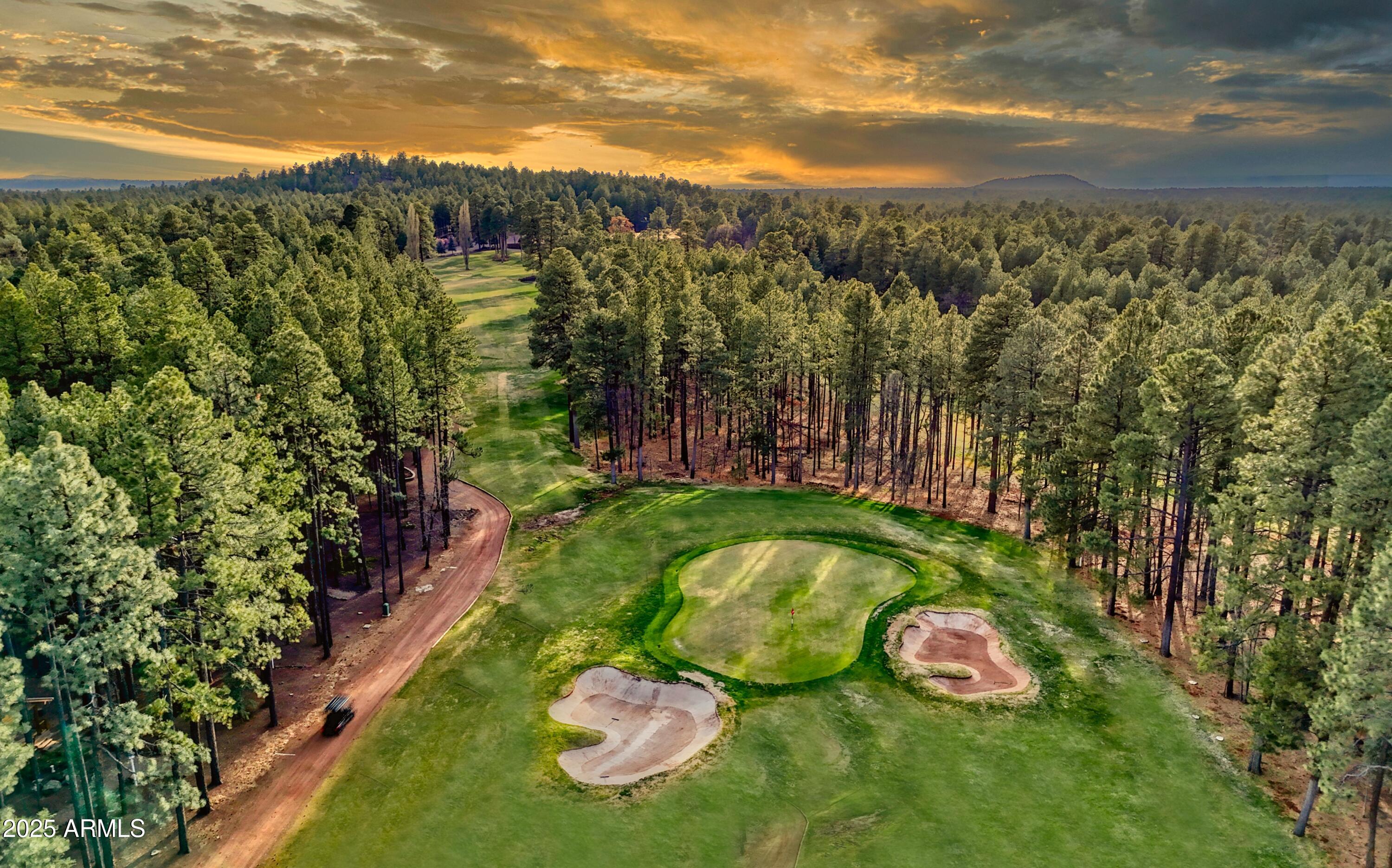 7194 Indian Bend Road Pinetop, AZ 85935 - Photo 2 of 46 2