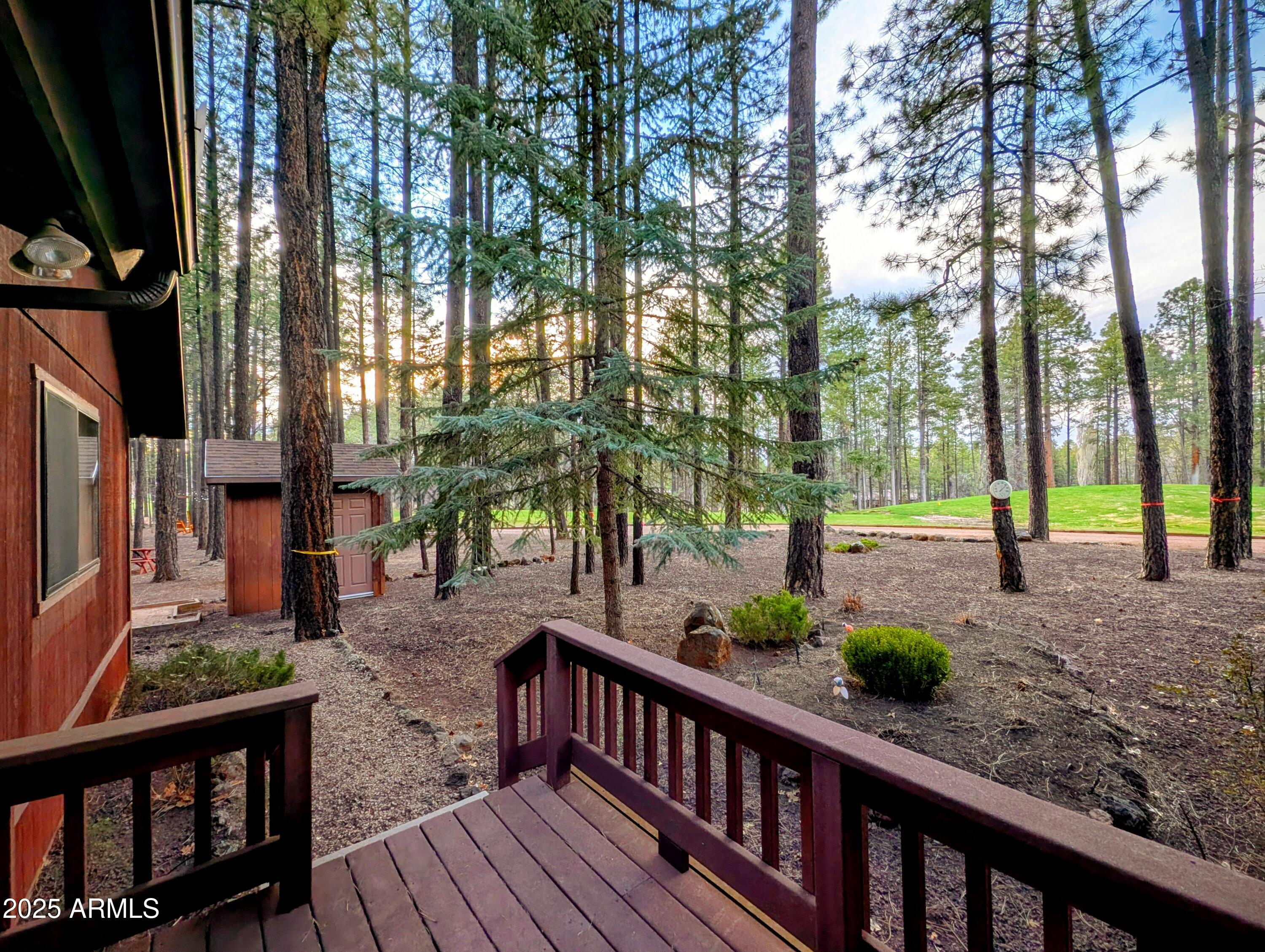 7194 Indian Bend Road Pinetop, AZ 85935 - Photo 44 of 46 44