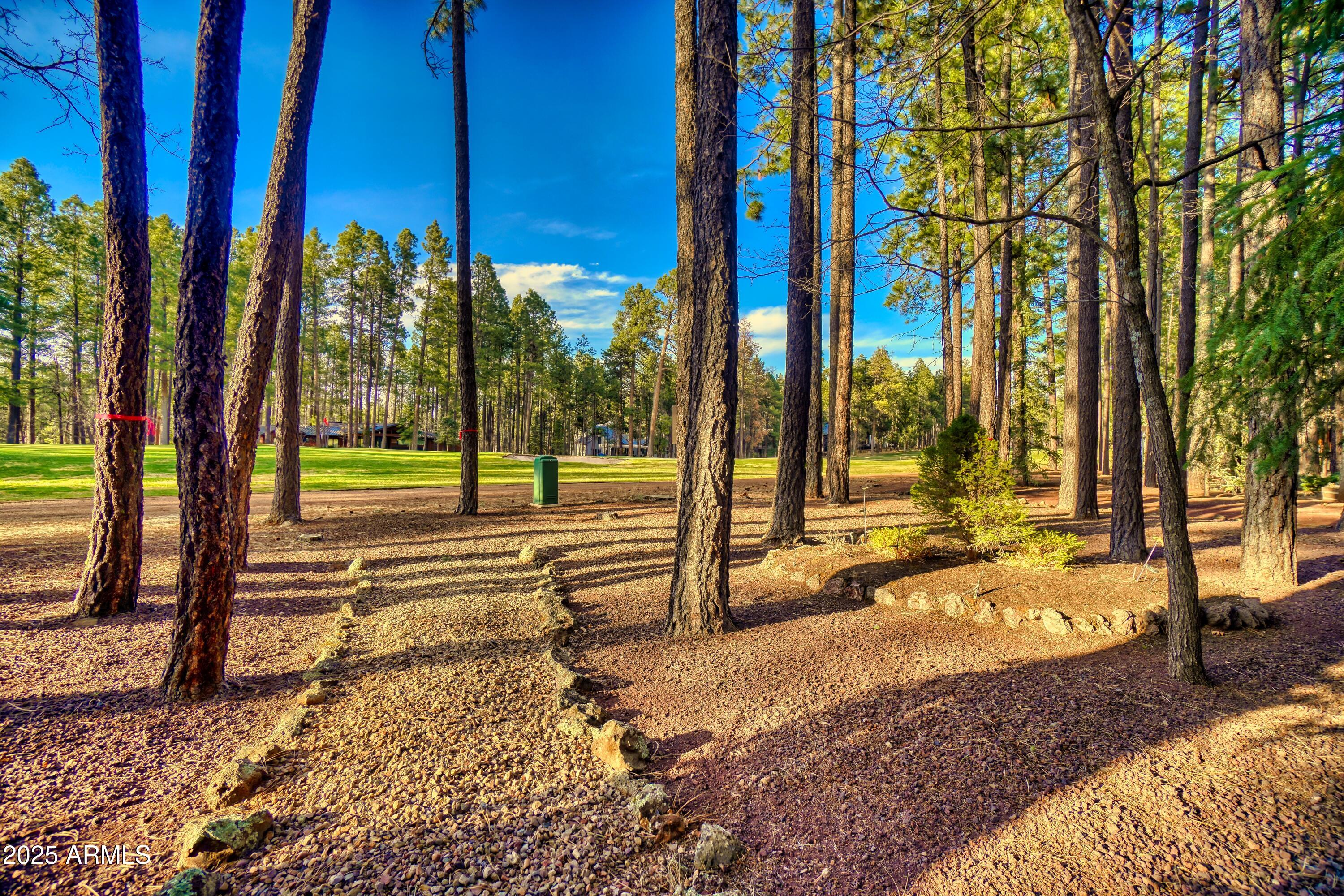 7194 Indian Bend Road Pinetop, AZ 85935 - Photo 46 of 46 46