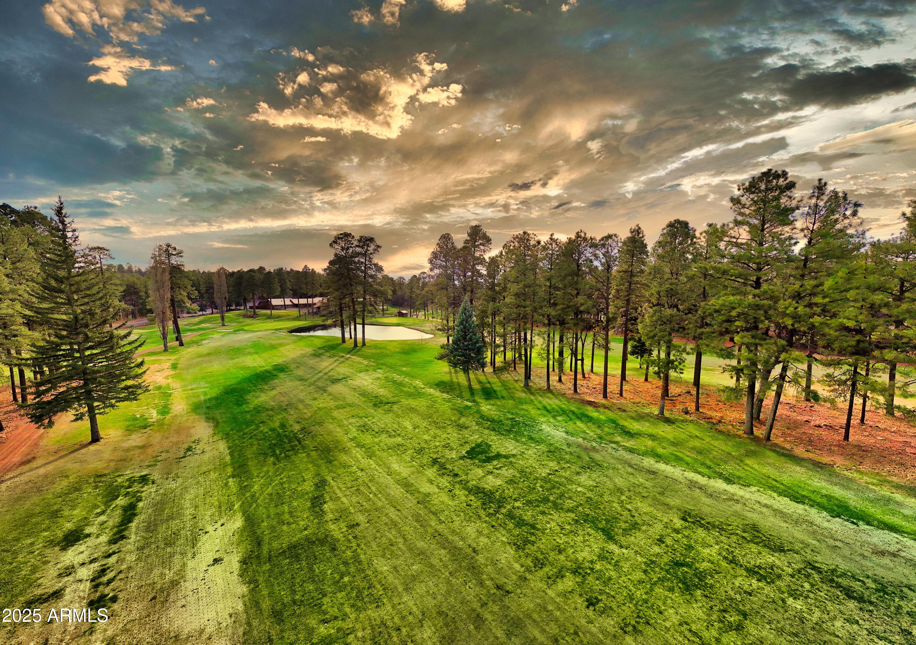 7194 Indian Bend Road Pinetop, AZ 85935 - Photo 5 of 46 5
