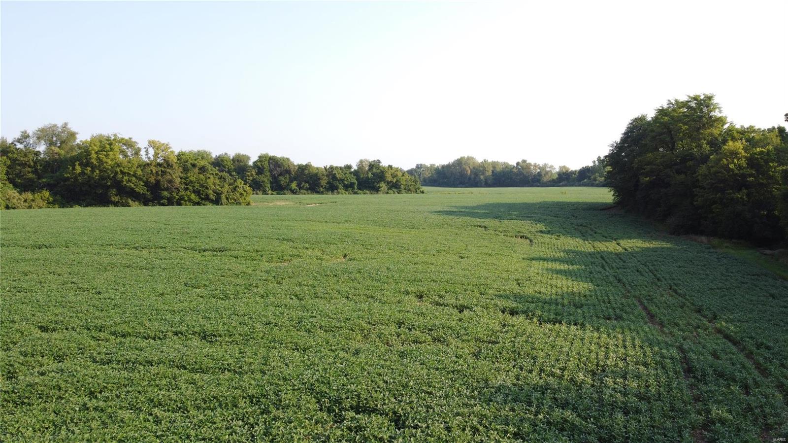 0 Winslow Road Belleville, IL 62223 - Photo 3 of 29 Gallery Image 3