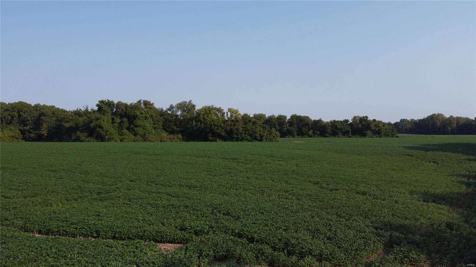 0 Winslow Road Belleville, IL 62223 - Photo 7 of 29 Gallery Image 7