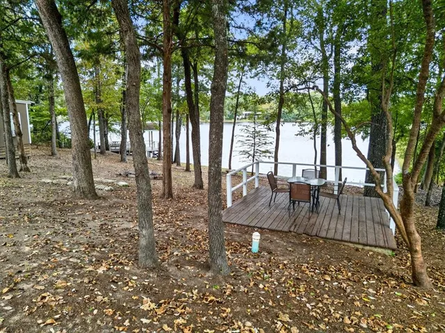 a view of a backyard