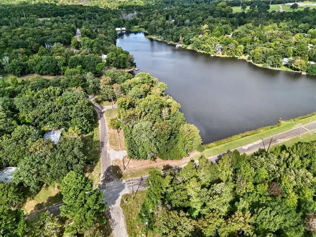 a view of a garden with a bench