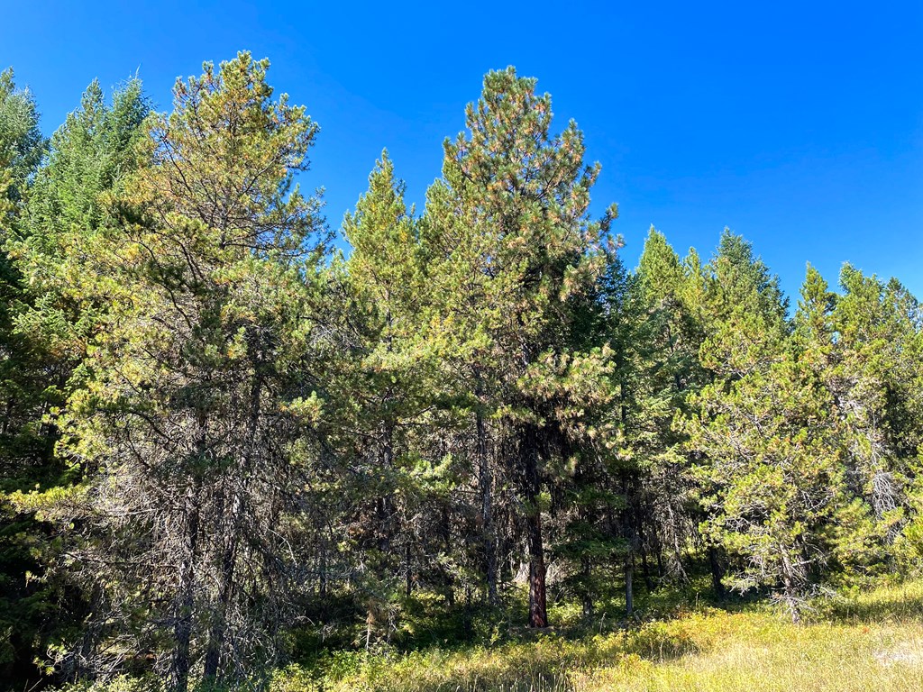 1-1 Horsethief Road Cascade, ID 83611 - Photo 4 of 13