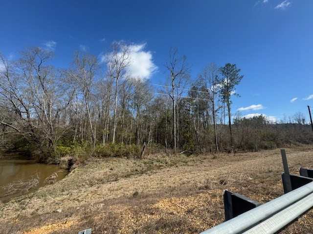 1111 Mt Olive Road Southeast Bogue Chitto, MS 39629 - Photo 2 of 13 Photo 2