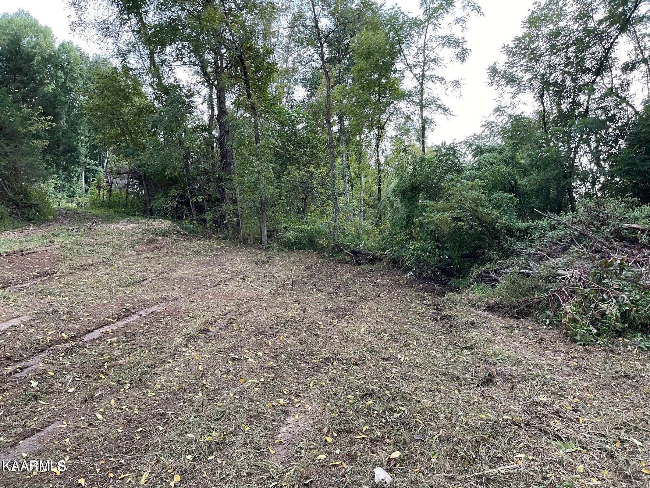 Earls Hollow Road Speedwell, TN 37870 - Photo 7 of 15 20211230222250139614000000-o