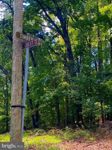 a view of swimming pool with a patio and trees