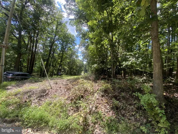 a view of backyard with green space
