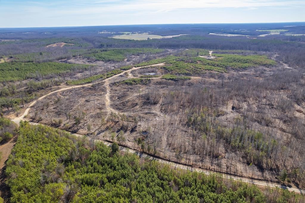 0 Haglersville Road Mansfield, TN 38236 - Photo 2 of 8