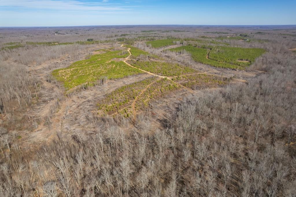 0 Haglersville Road Mansfield, TN 38236 - Photo 3 of 8