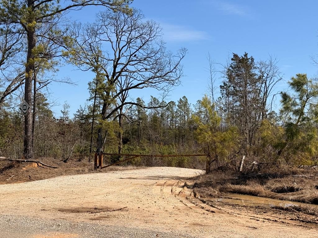 0 Haglersville Road Mansfield, TN 38236 - Photo 4 of 8