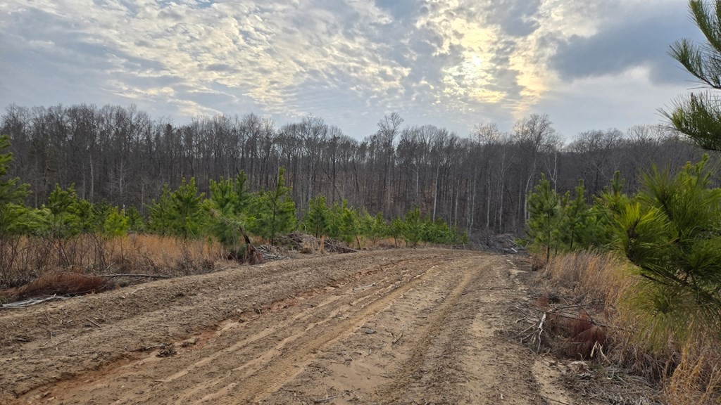 0 Haglersville Road Mansfield, TN 38236 - Photo 5 of 8