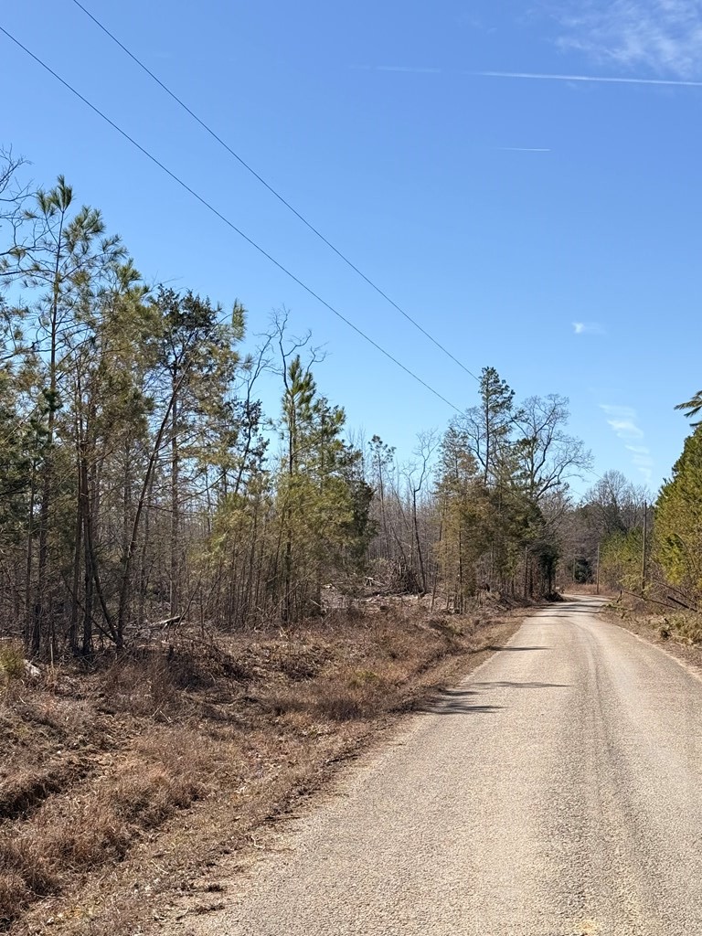 0 Haglersville Road Mansfield, TN 38236 - Photo 6 of 8