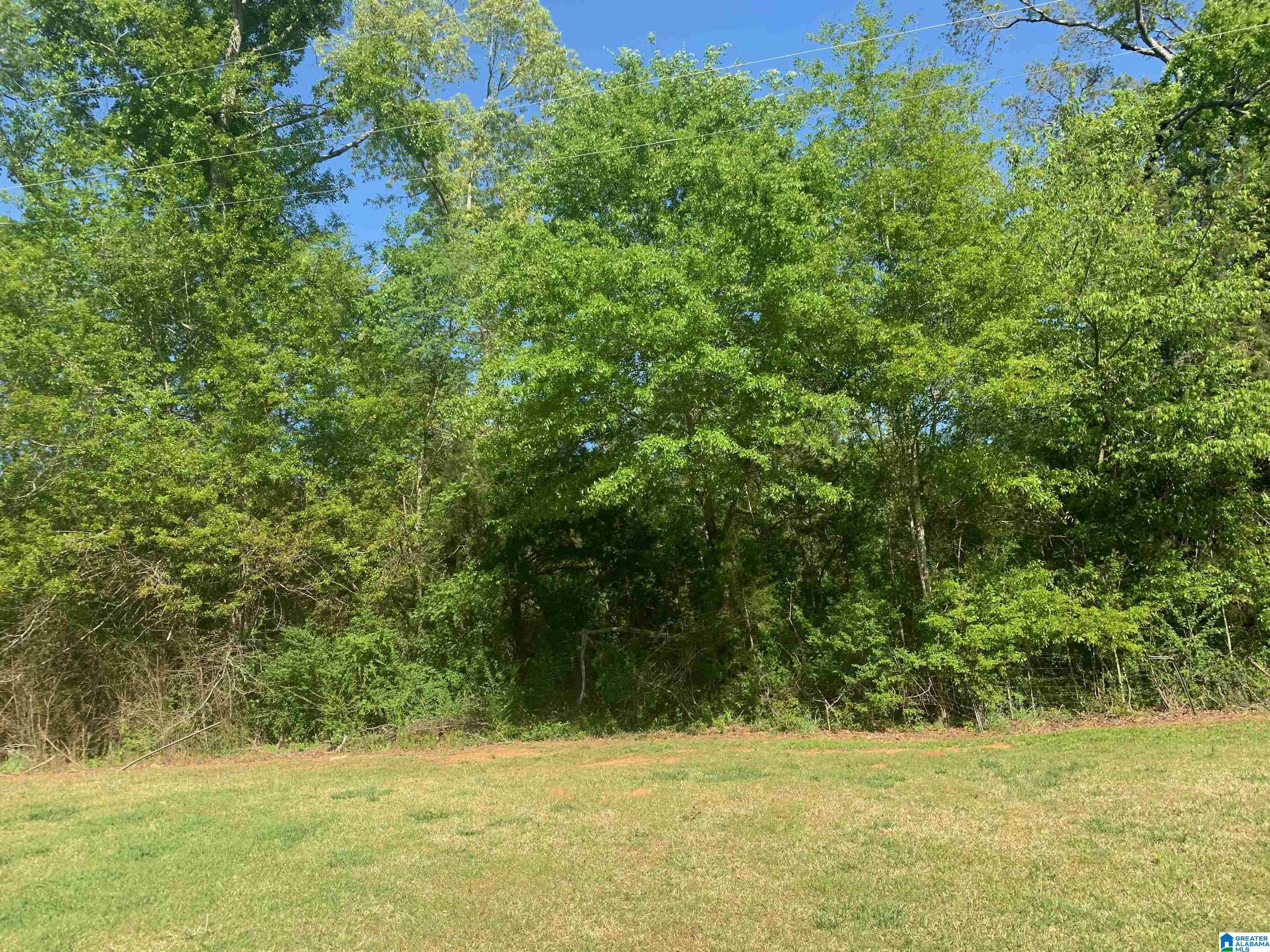 1835 Dry Valley Road, Unit 1 Lincoln, AL 35096 - Photo 8 of 14