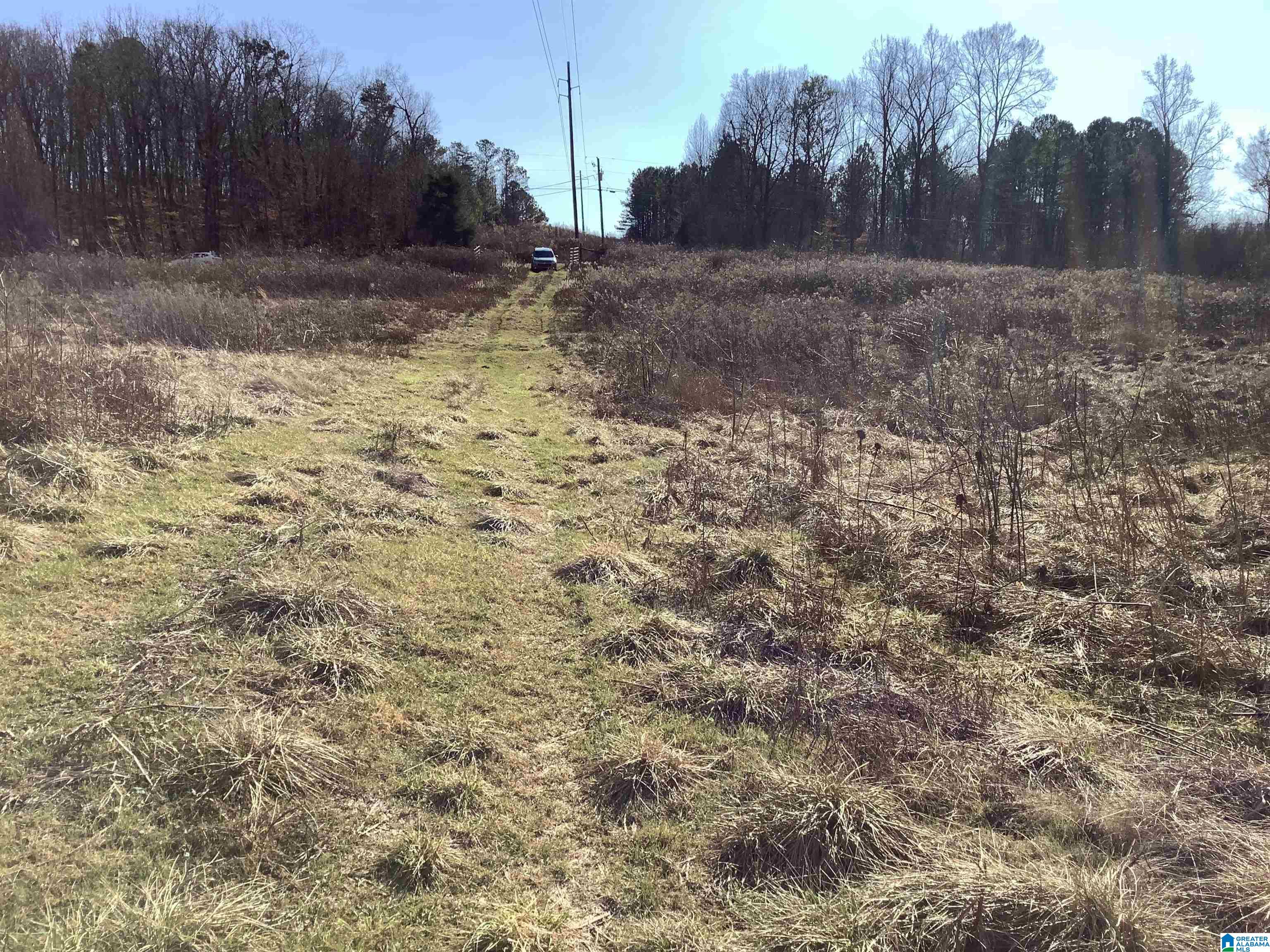 0 Highway 42 Oneonta, AL 35121 - Photo 8 of 8