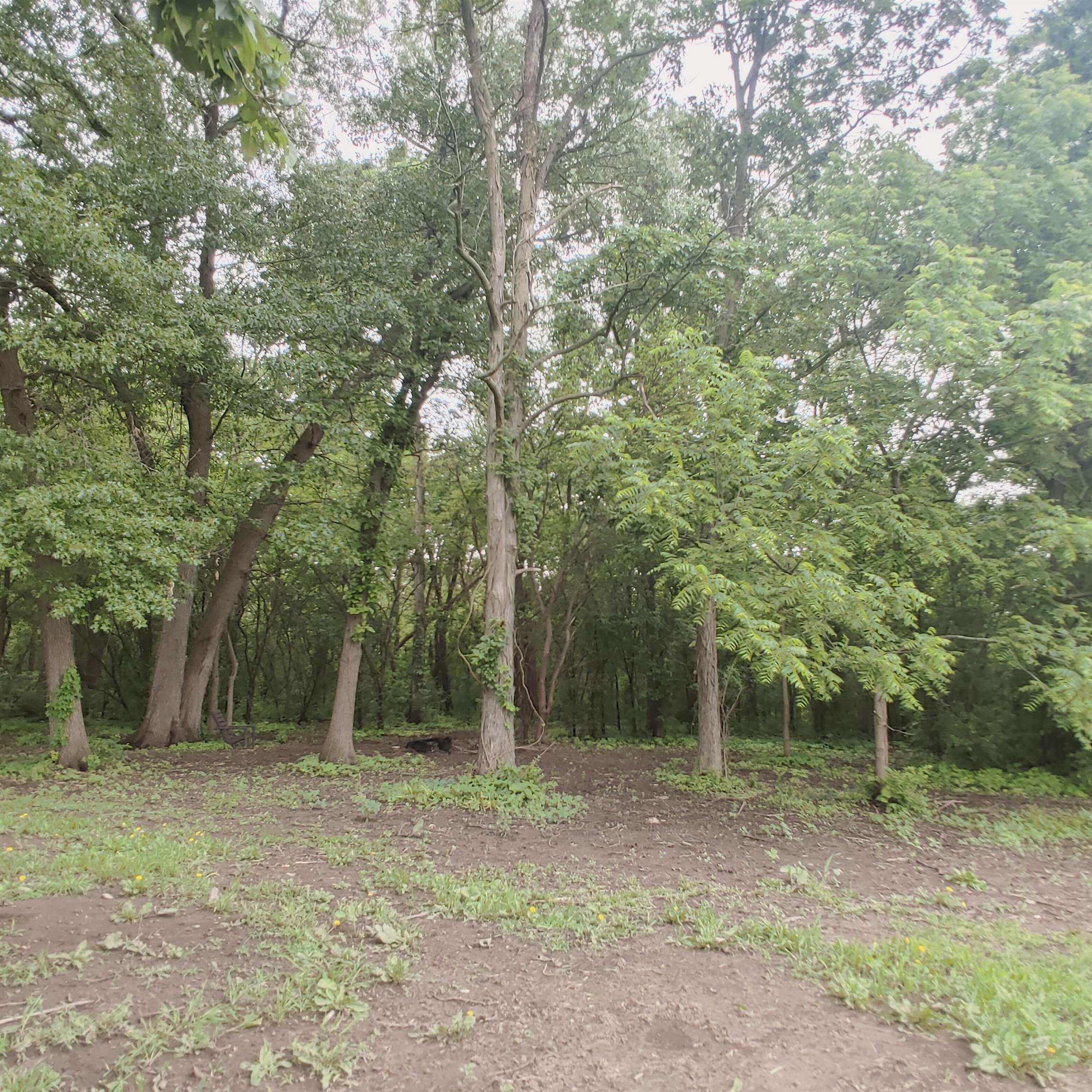 10799 Randall Road Capron, IL 61012 - Photo 12 of 68 a backyard of a house with lots of trees