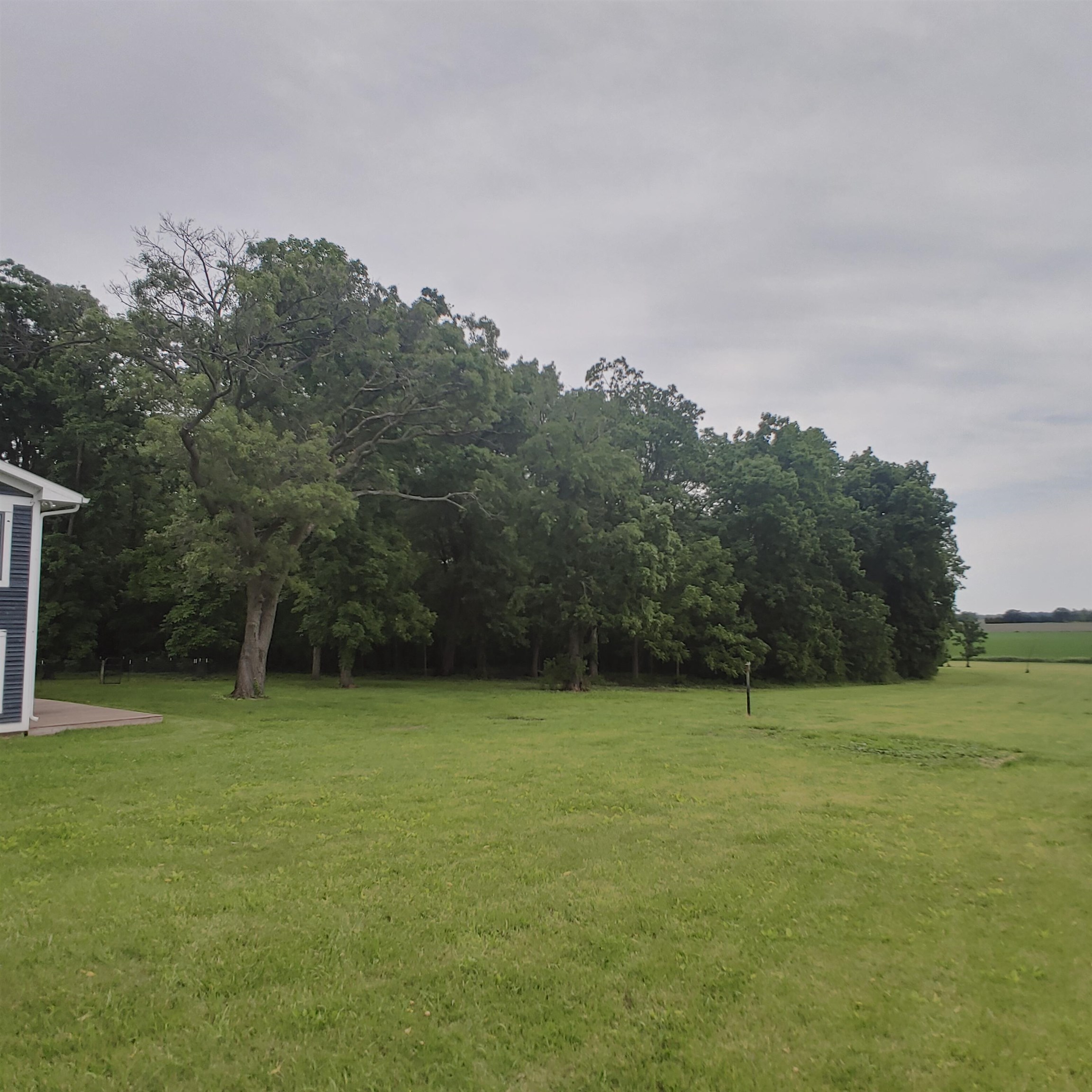 10799 Randall Road Capron, IL 61012 - Photo 13 of 68 a view of a grassy field with trees in the background