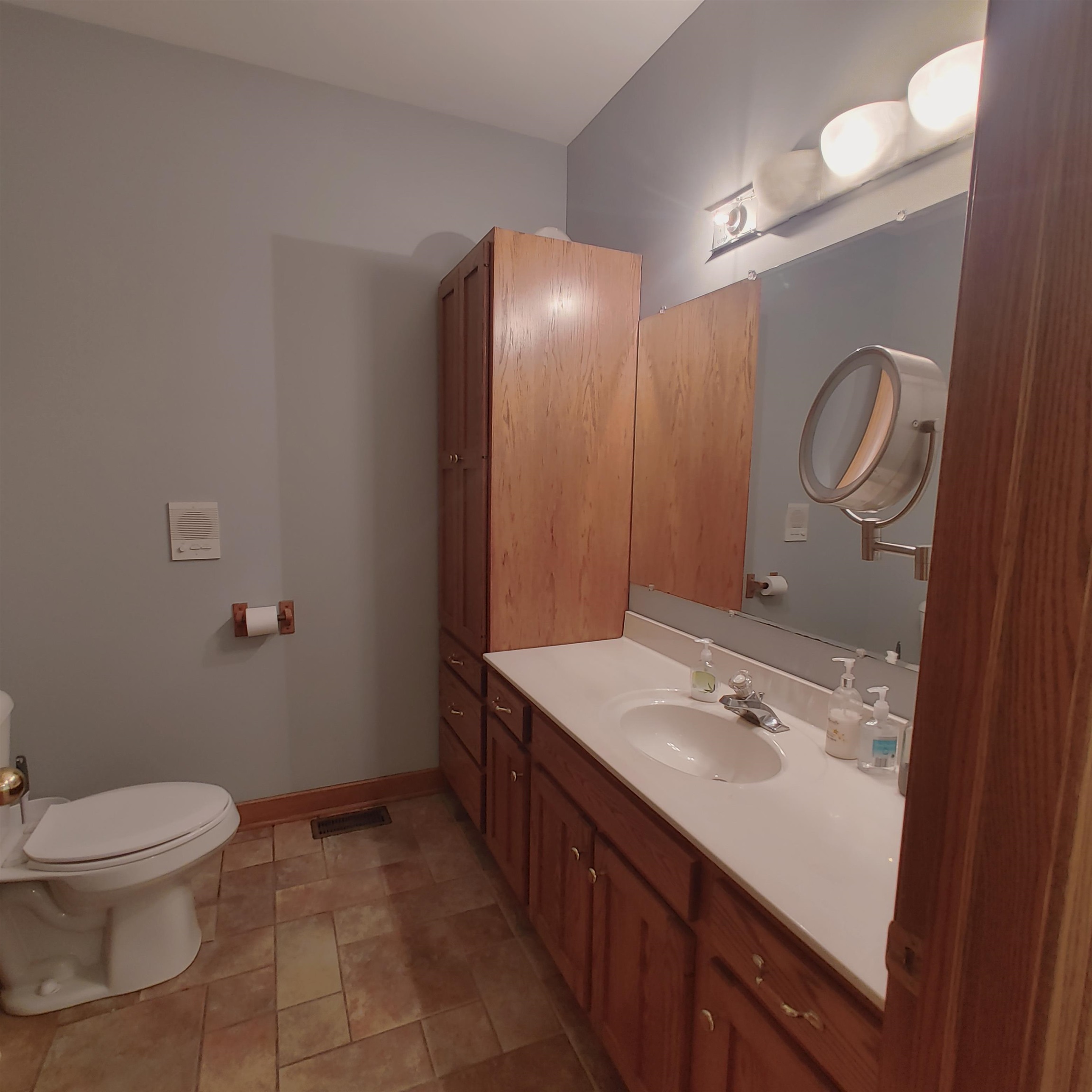 10799 Randall Road Capron, IL 61012 - Photo 27 of 68 a bathroom with a sink a toilet and a mirror