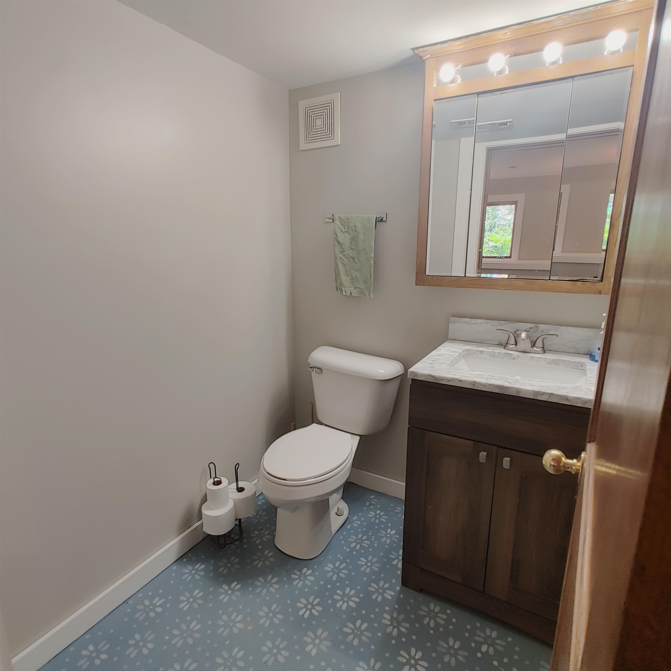 10799 Randall Road Capron, IL 61012 - Photo 64 of 68 a bathroom with a sink toilet and mirror