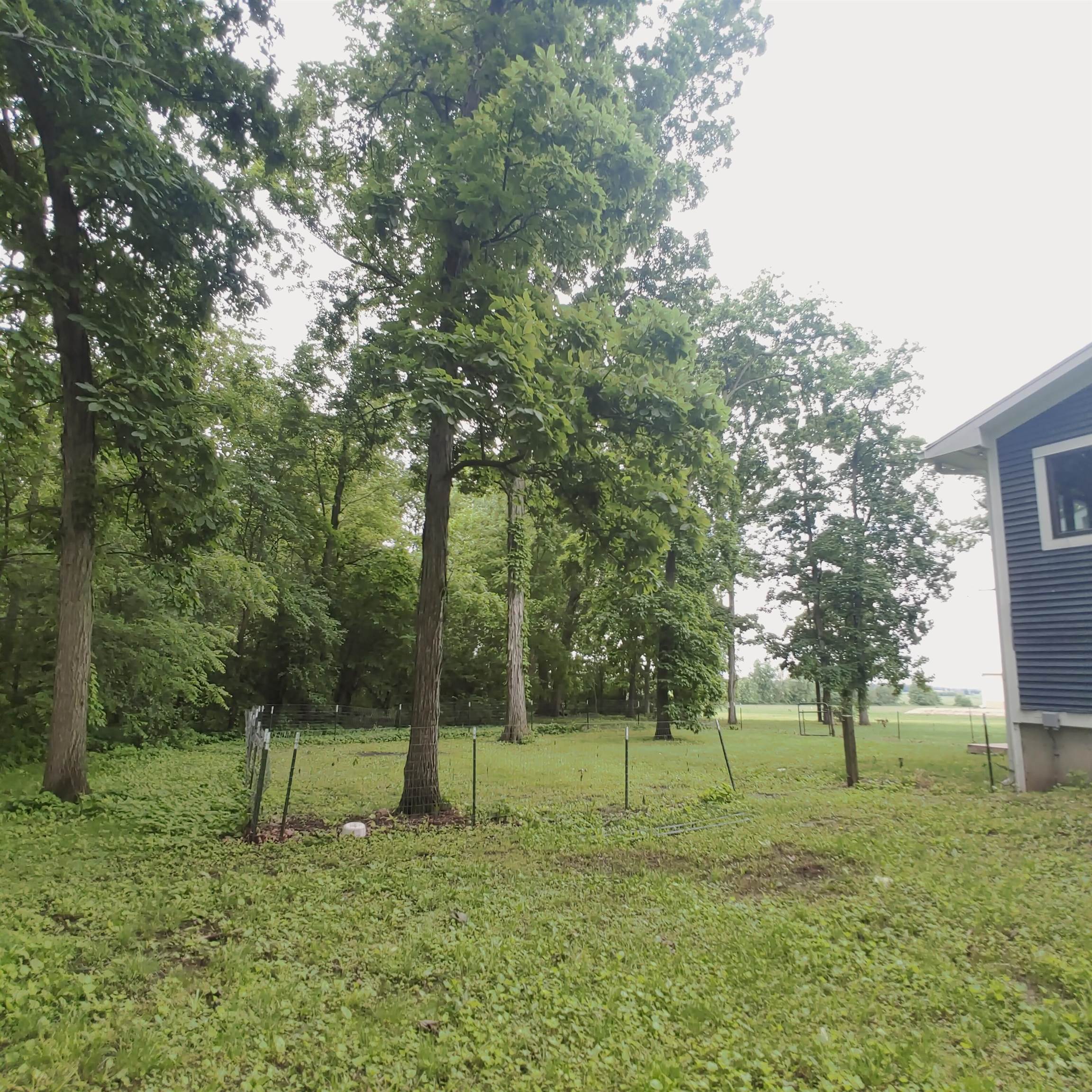 10799 Randall Road Capron, IL 61012 - Photo 9 of 68 a green field with lots of trees