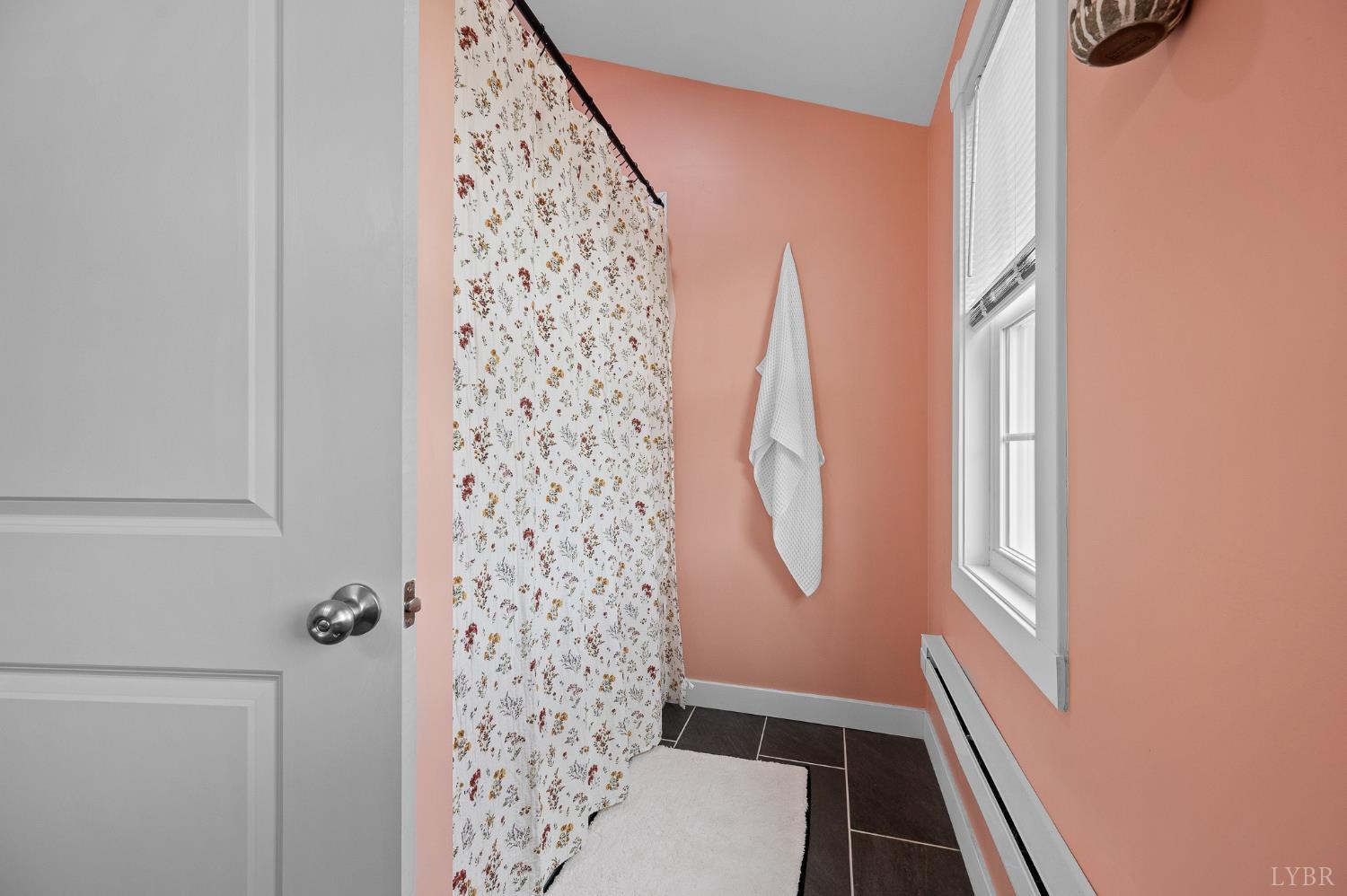 1589 Clearview Road Bedford, VA 24523 - Photo 33 of 44