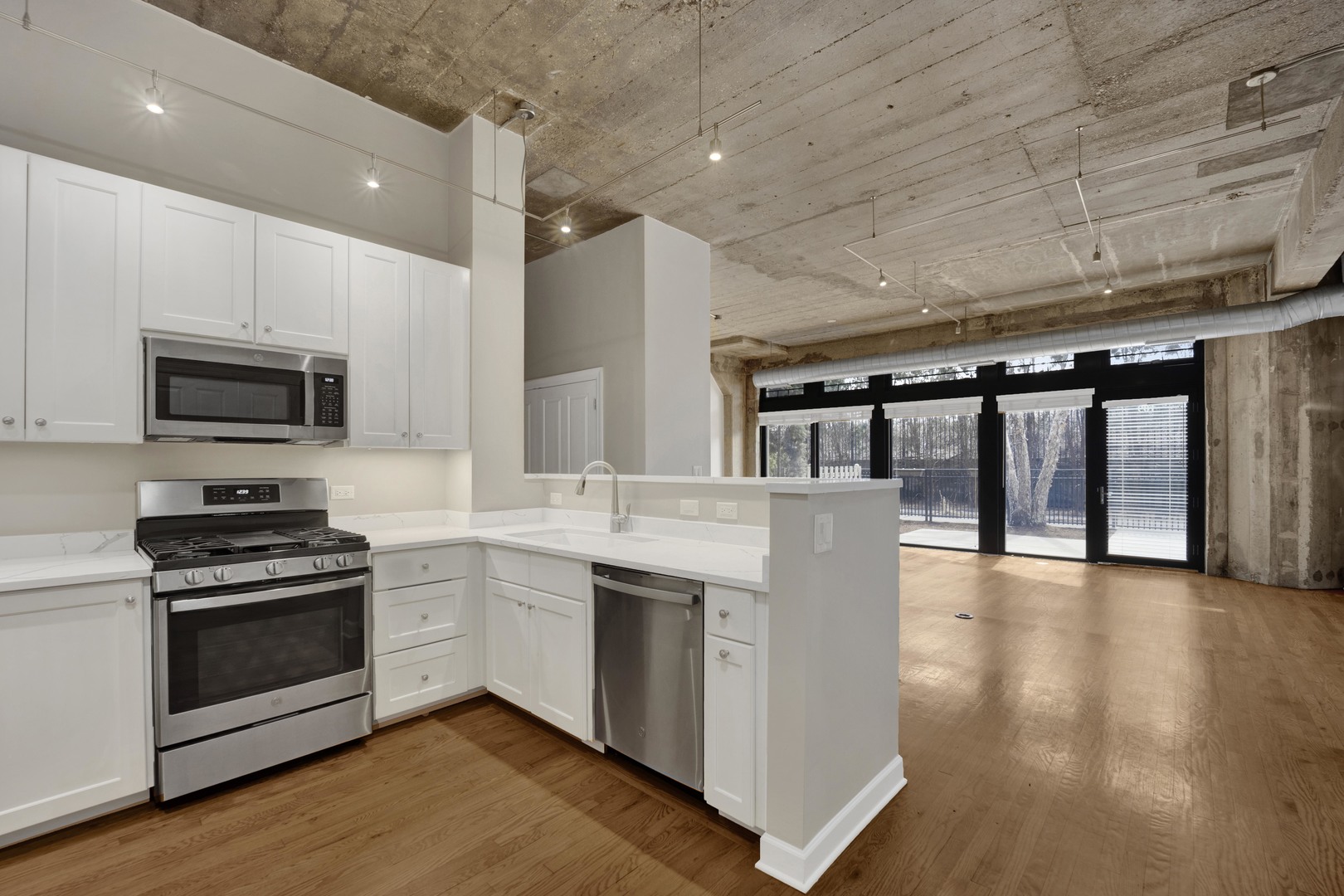 1071 West 15th Street, Unit 109 Chicago, IL 60608 - Photo 3 of 31