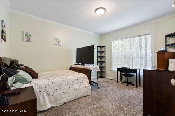 364 Murray Turner Farm Road Burgaw, NC 28425 - Photo 35 of 73 Bedroom 3