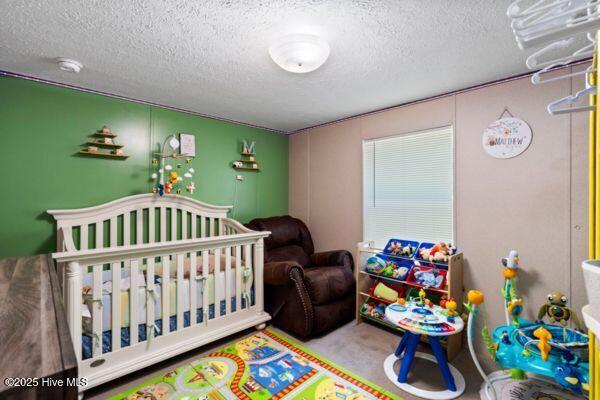 364 Murray Turner Farm Road Burgaw, NC 28425 - Photo 53 of 73 Bedroom 2