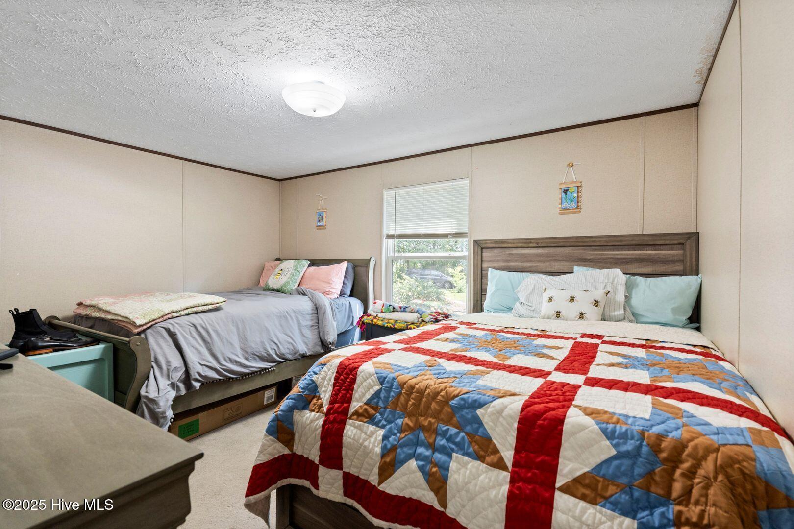 364 Murray Turner Farm Road Burgaw, NC 28425 - Photo 55 of 73 Bedroom 3