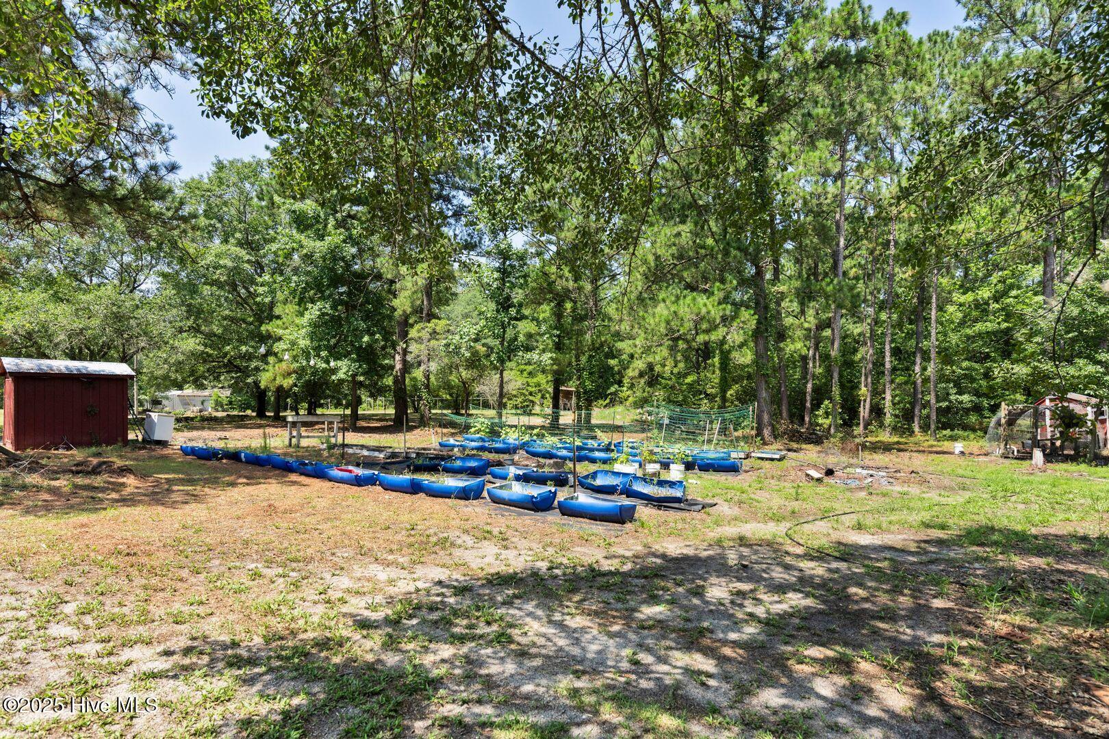 364 Murray Turner Farm Road Burgaw, NC 28425 - Photo 61 of 74 364 Murray Turner Farm