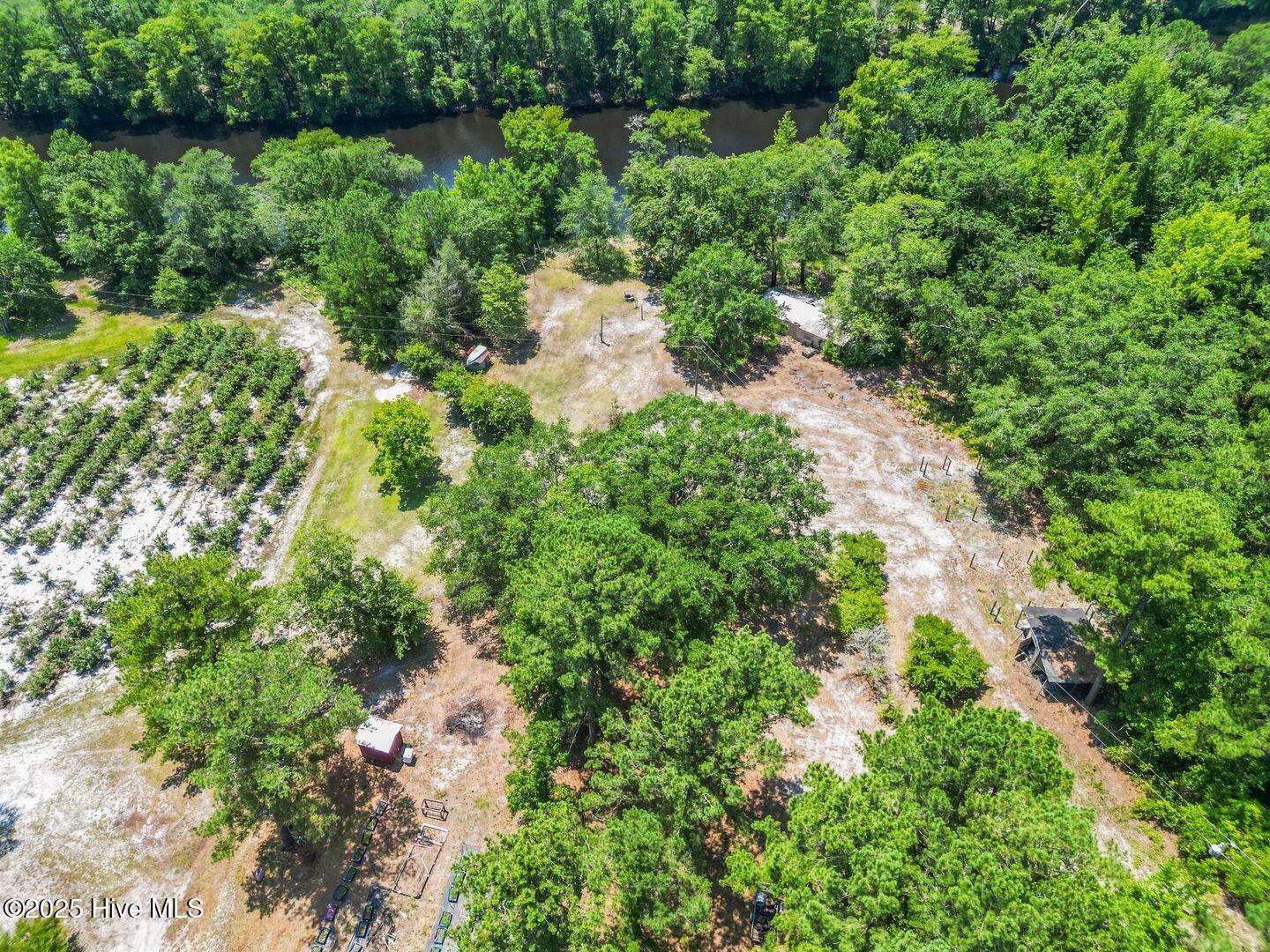 364 Murray Turner Farm Road Burgaw, NC 28425 - Photo 64 of 73 364 Murray Turner Farm
