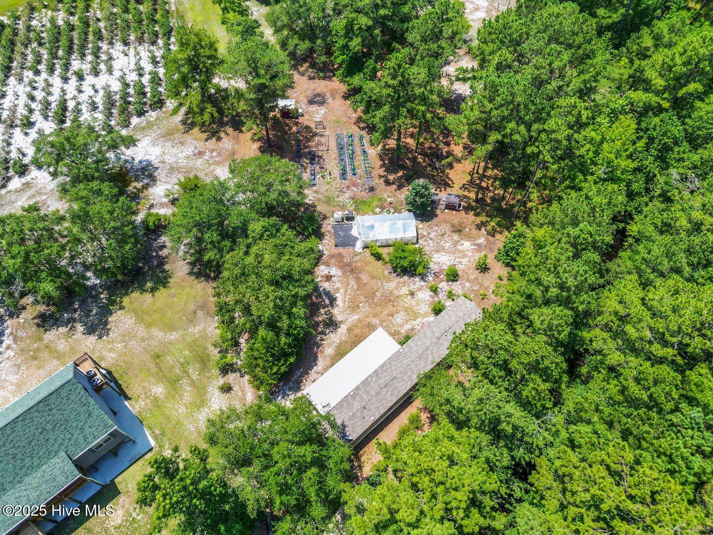 364 Murray Turner Farm Road Burgaw, NC 28425 - Photo 67 of 74 364 Murray Turner Farm