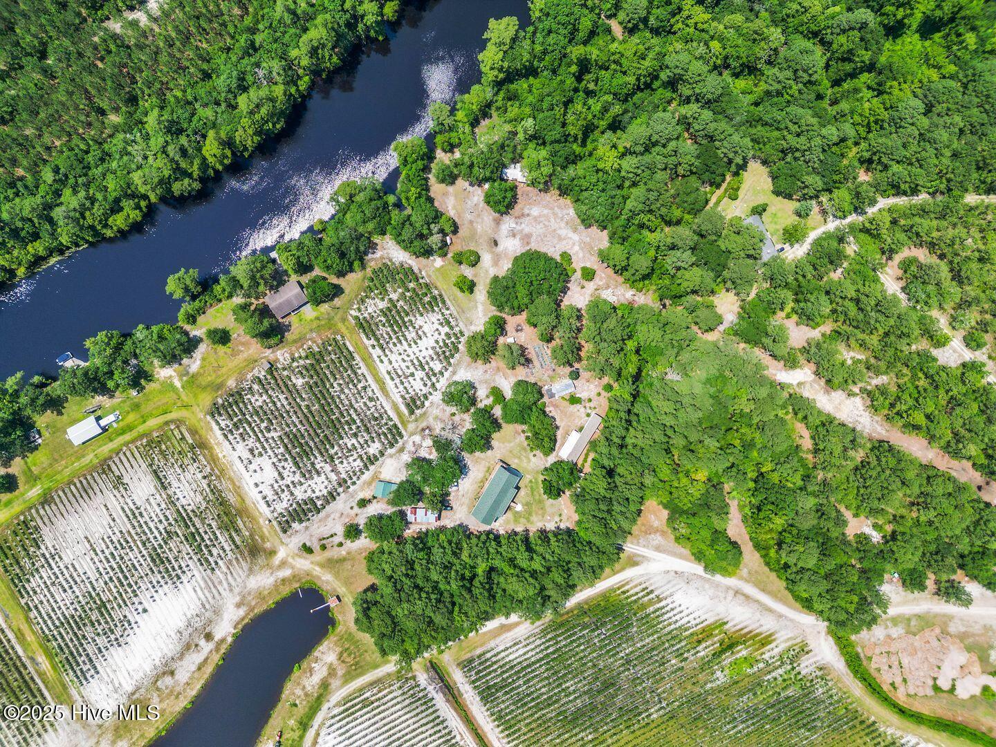 364 Murray Turner Farm Road Burgaw, NC 28425 - Photo 67 of 73 364 Murray Turner Farm