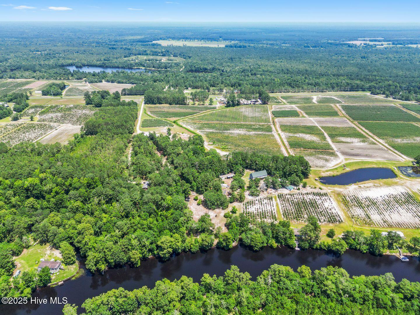 364 Murray Turner Farm Road Burgaw, NC 28425 - Photo 69 of 73 364 Murray Turner Farm