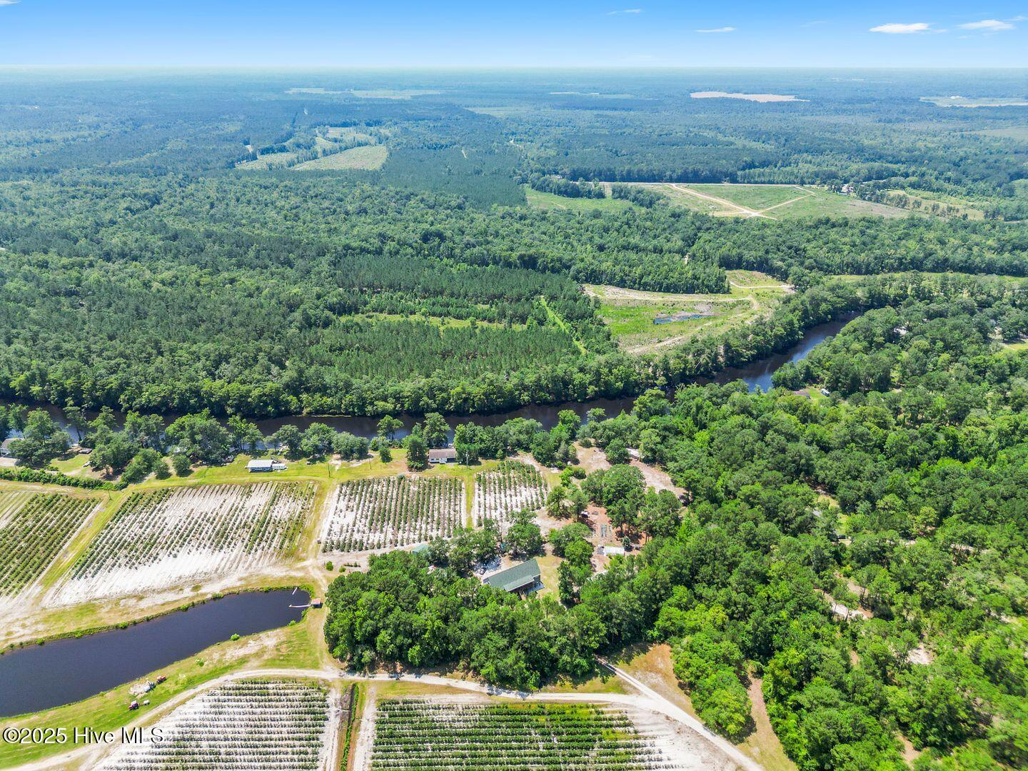 364 Murray Turner Farm Road Burgaw, NC 28425 - Photo 69 of 74 364 Murray Turner Farm