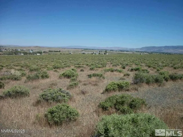 a view of a field with a mountain in the background
