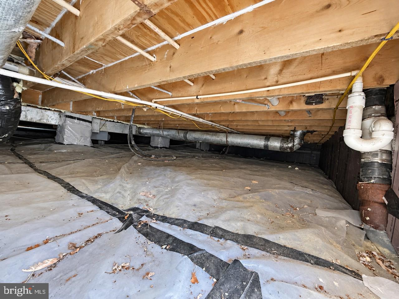 101 Chestnut Road Stevensville, MD 21666 - Photo 28 of 28 Gallery Image 28