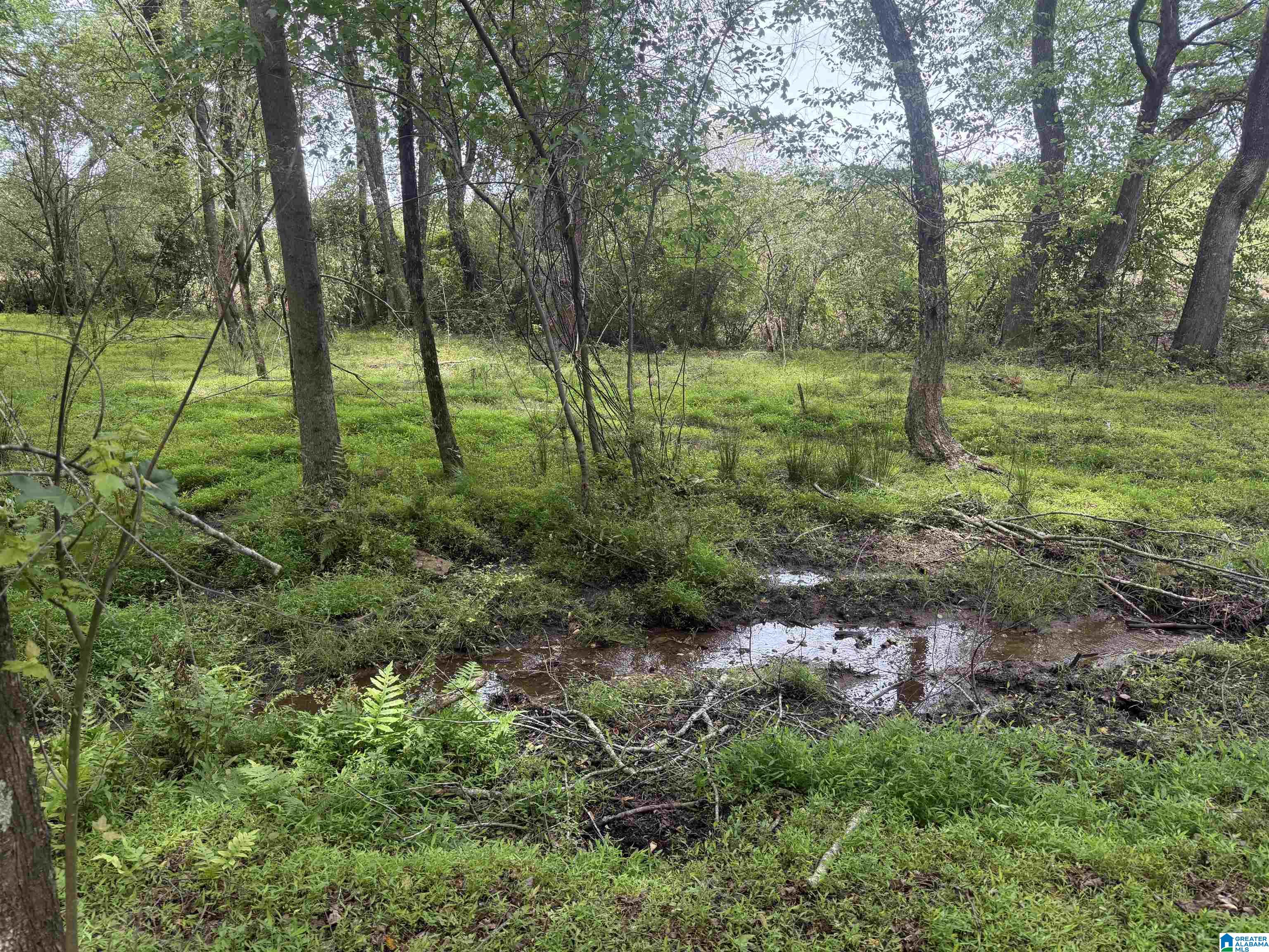 1 County Road 670 Ranburne, AL 36273 - Photo 6 of 11