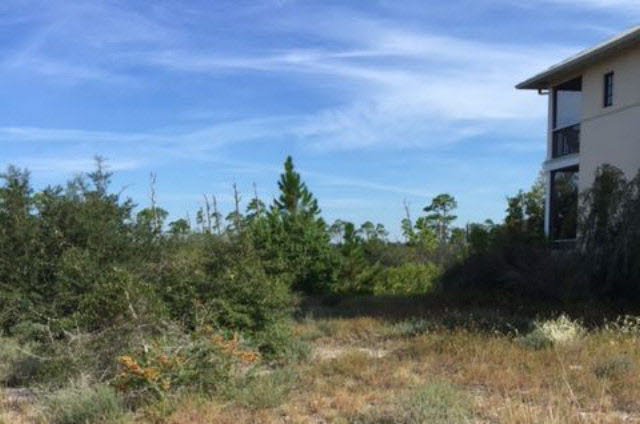13 Parks Edge Orange Beach, AL 36561 - Photo 1 of 1