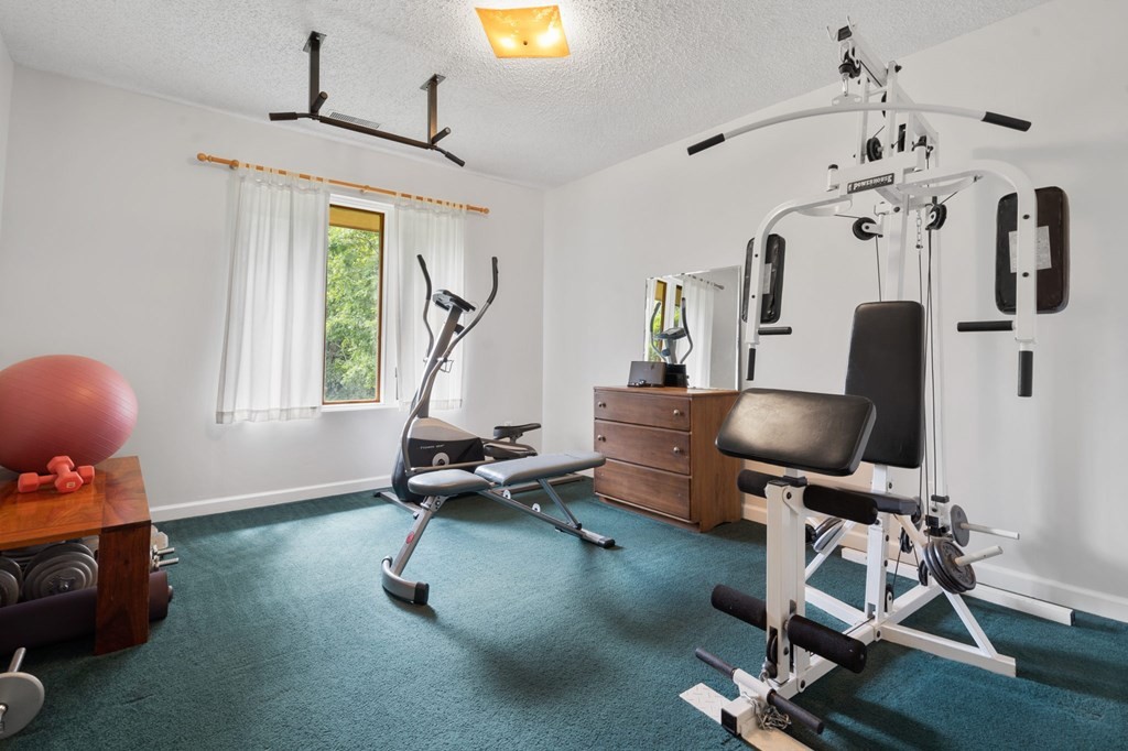 5597 South No Pone Valley Road Decatur, TN 37322 - Photo 37 of 44 a view of a workspace with gym equipment