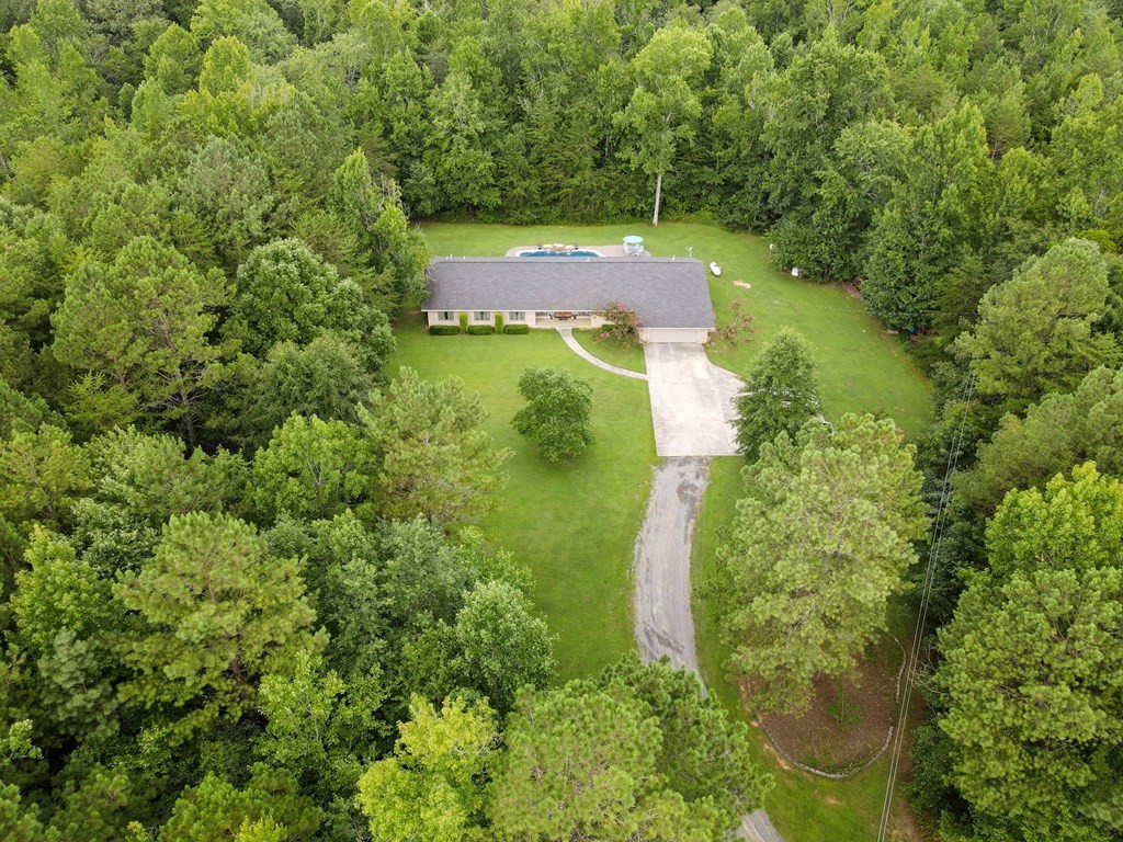 5597 South No Pone Valley Road Decatur, TN 37322 - Photo 4 of 44 a view of a big yard with large trees