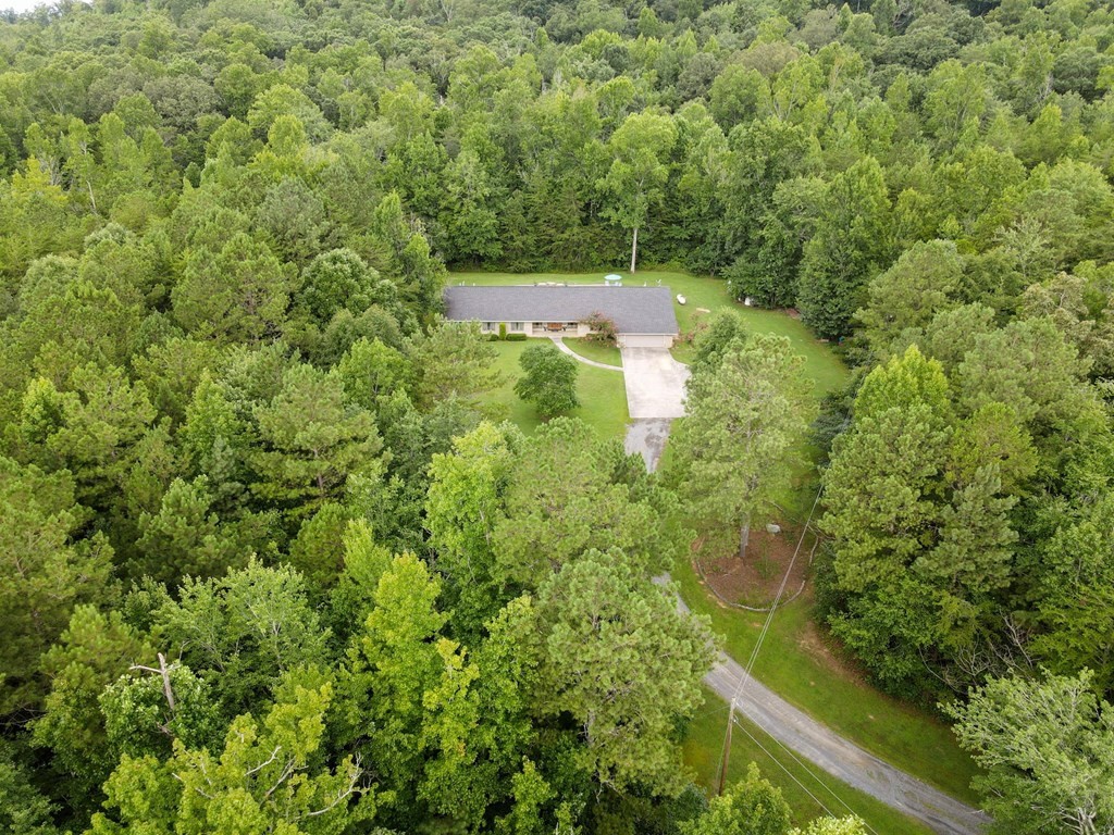 5597 South No Pone Valley Road Decatur, TN 37322 - Photo 42 of 44 a view of a forest with a trees